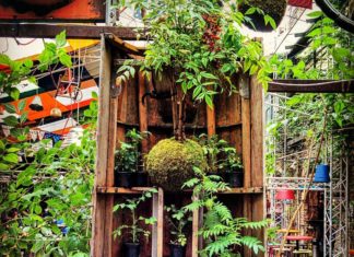 History of Szimpla Kert Ruin Bar Budapest Szimpla Kert Ruin Bar Budapest Open Air Court